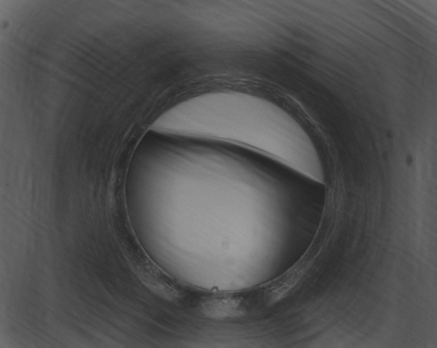 X0000087510217200704270802