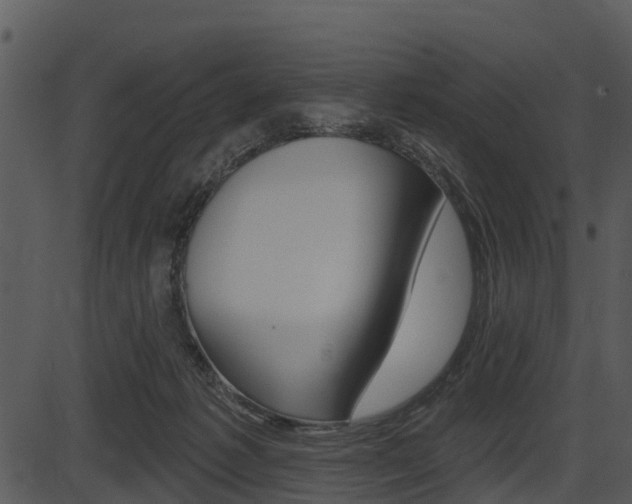 X0000087510221200704270802