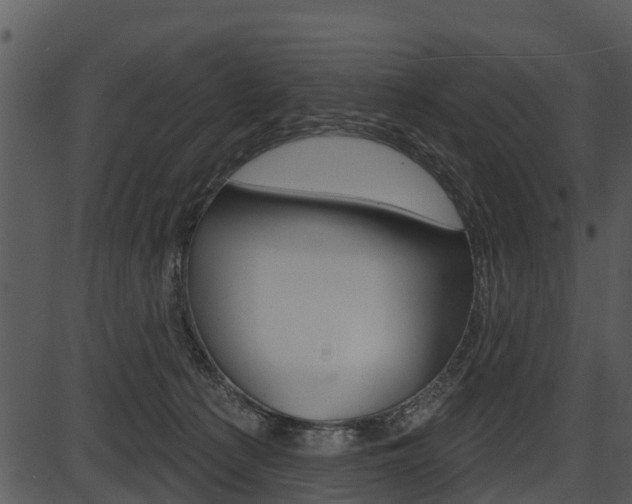 X0000087510225200704270802