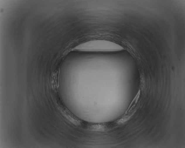 X0000087510237200704270801