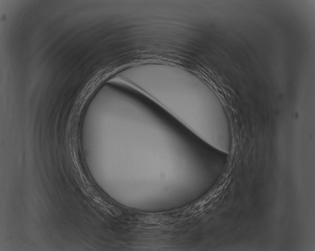 X0000087510241200704270801