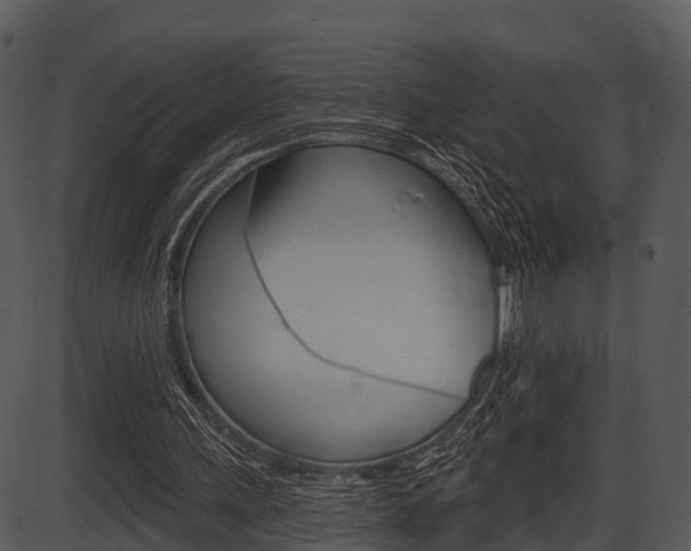 X0000087510243200704270801