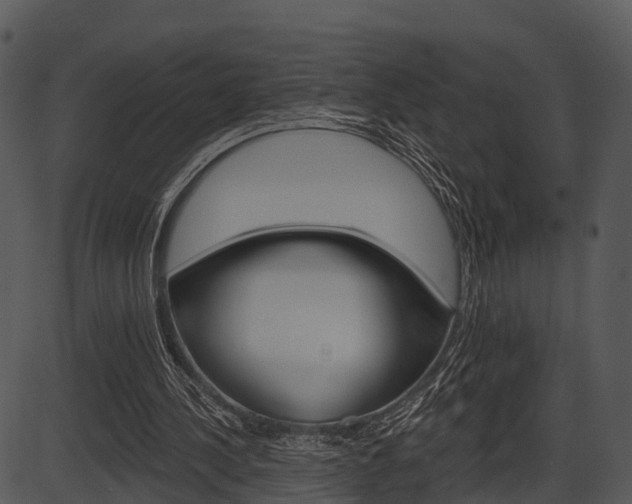 X0000087510244200704270801
