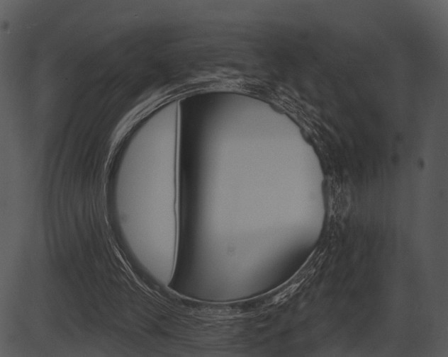 X0000087510245200704270801