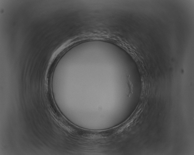 X0000087510246200704270801