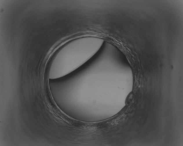 X0000087510247200704270801