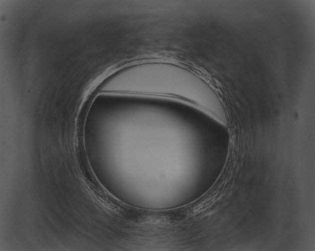 X0000087510248200704270801