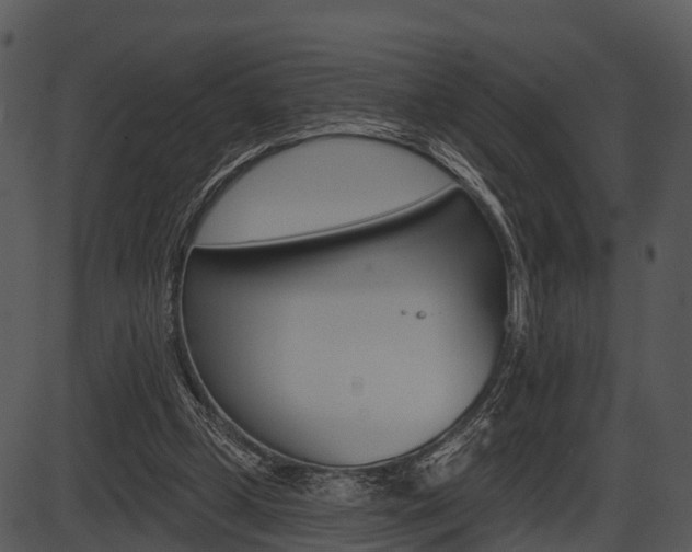 X0000087510249200704270801