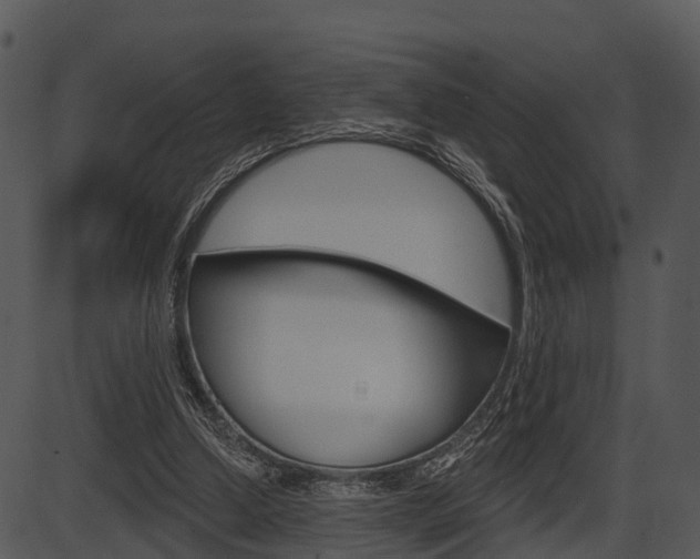 X0000087510250200704270801