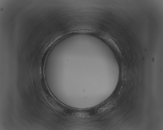 X0000087510251200704270801