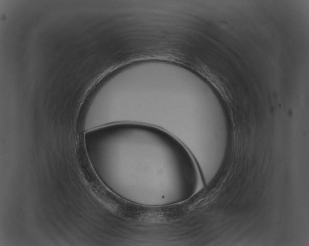 X0000087510252200704270801