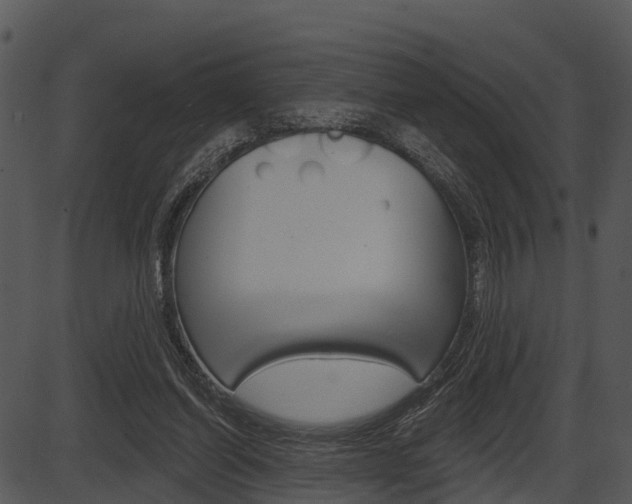 X0000087510254200704270801