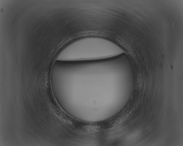 X0000087510255200704270801