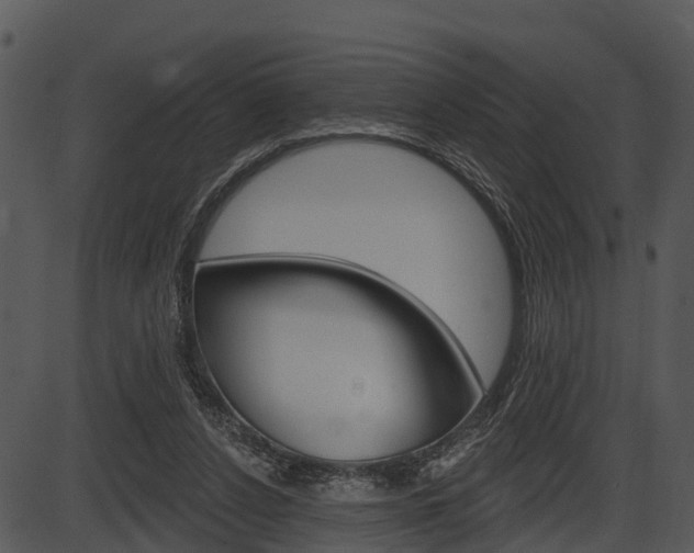 X0000087510256200704270801