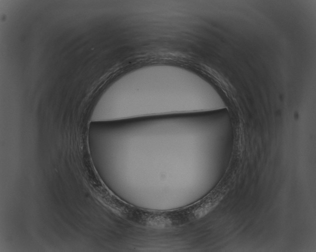 X0000087510258200704270801