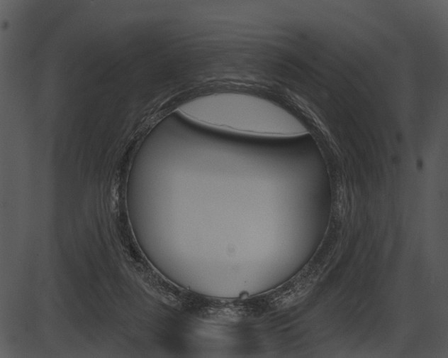 X0000087510259200704270801