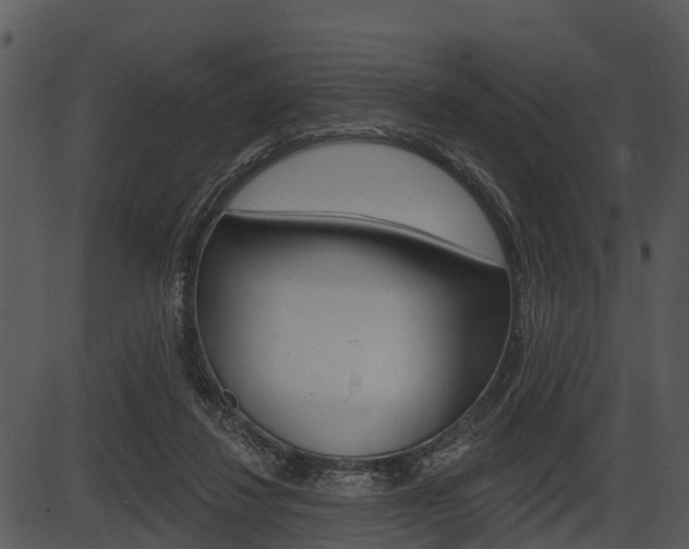 X0000087510260200704270801