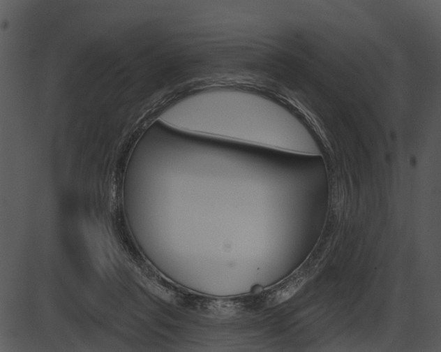 X0000087510261200704270801