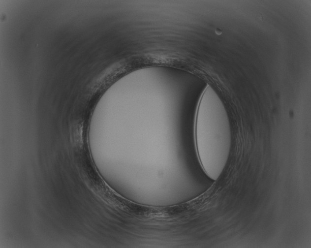 X0000087510262200704270801