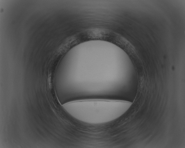 X0000087510267200704270801
