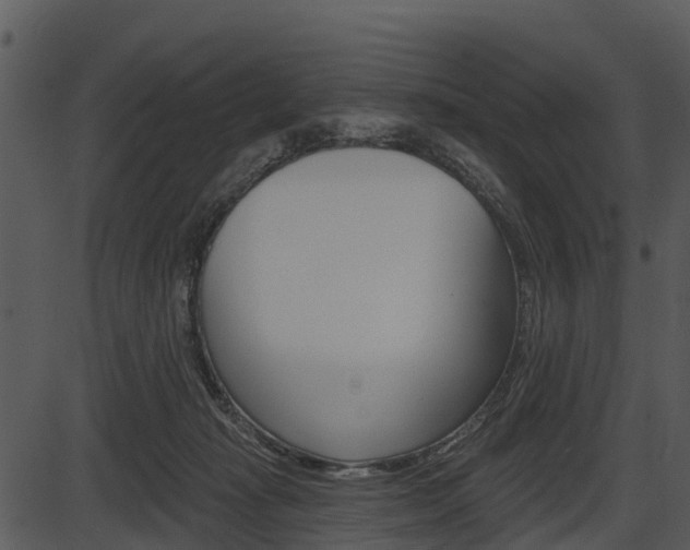 X0000087510269200704270801