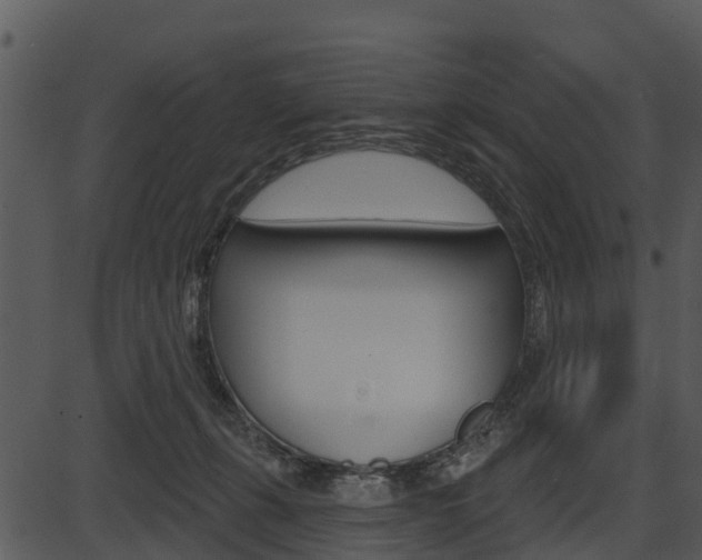 X0000087510271200704270801