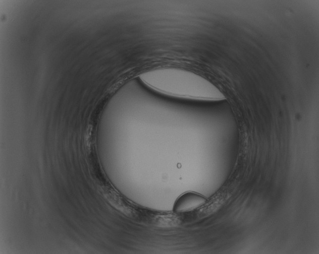 X0000087510275200704270801