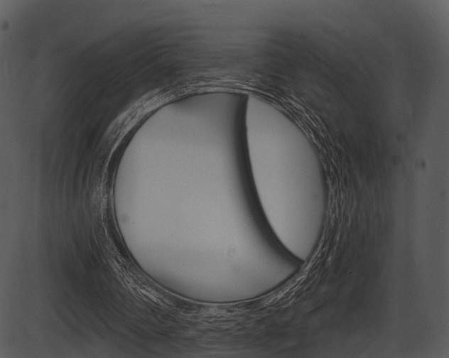 X0000087510290200704270801