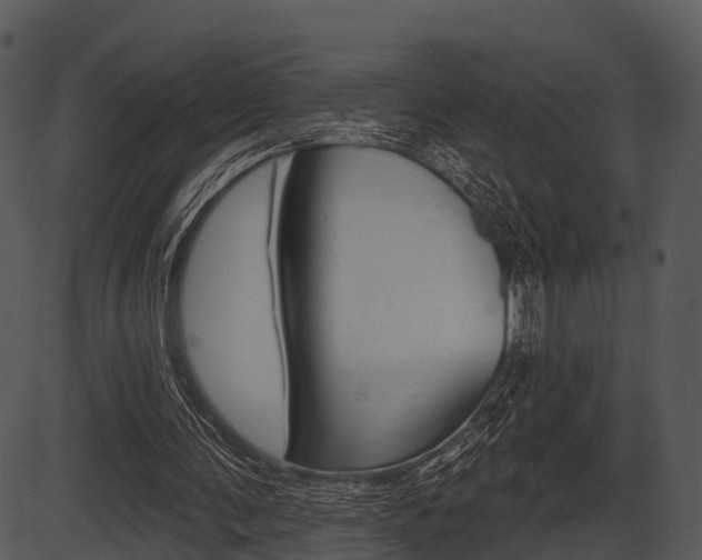 X0000087510291200704270801