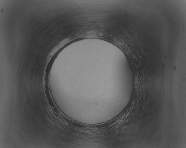 X0000087510292200704270801