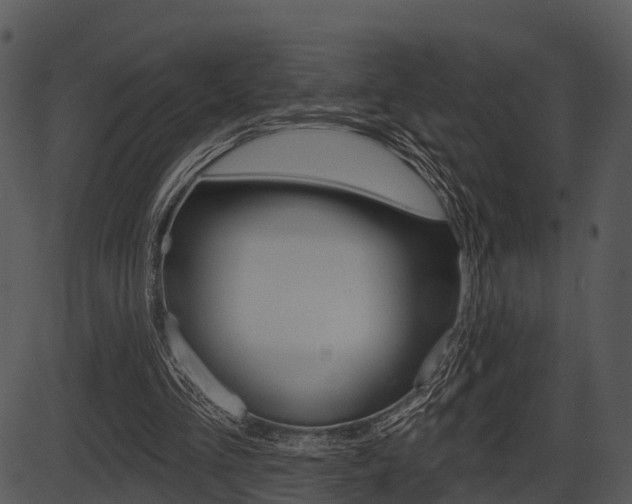 X0000087510293200704270801