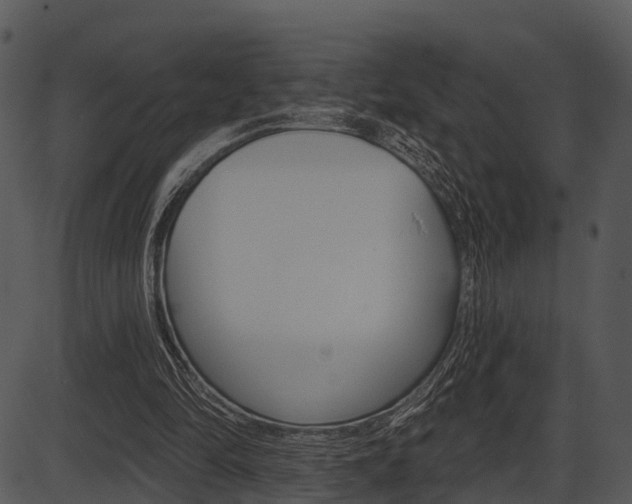 X0000087510294200704270801