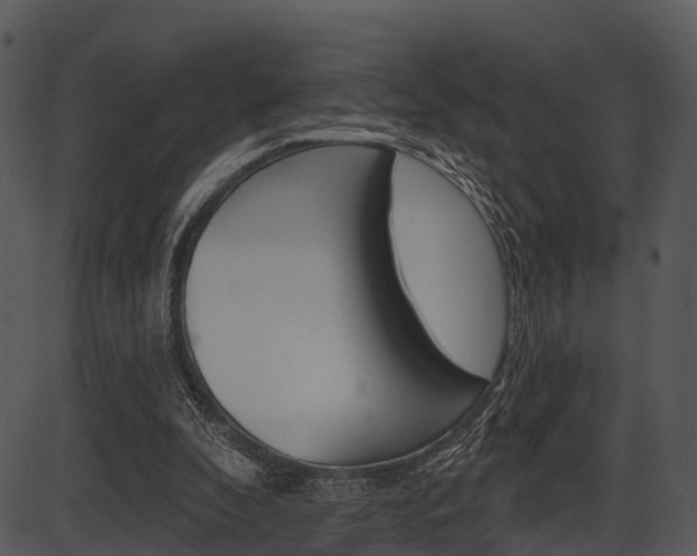 X0000087510296200704270801
