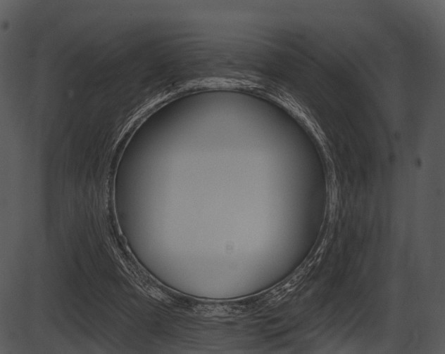 X0000087510297200704270801