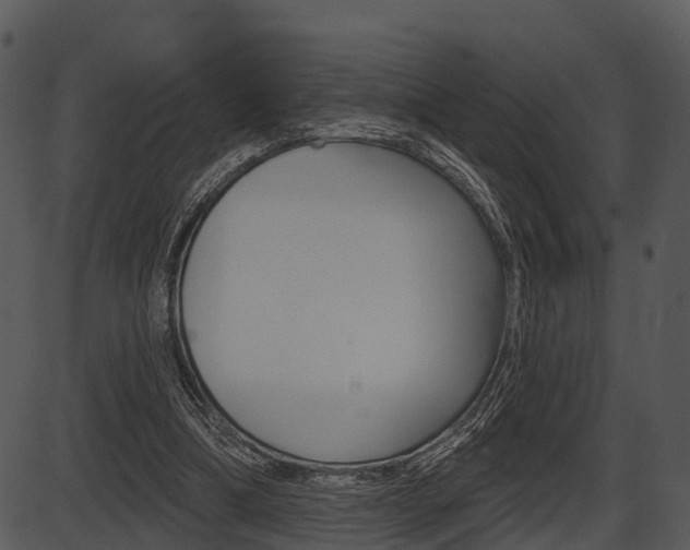 X0000087510298200704270800