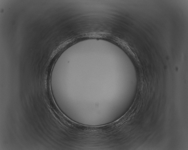 X0000087510299200704270800