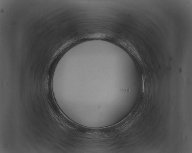 X0000087510300200704270800