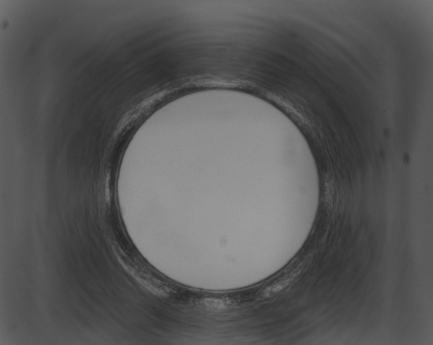 X0000087510302200704270800