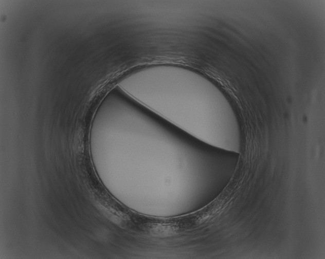 X0000087510303200704270800