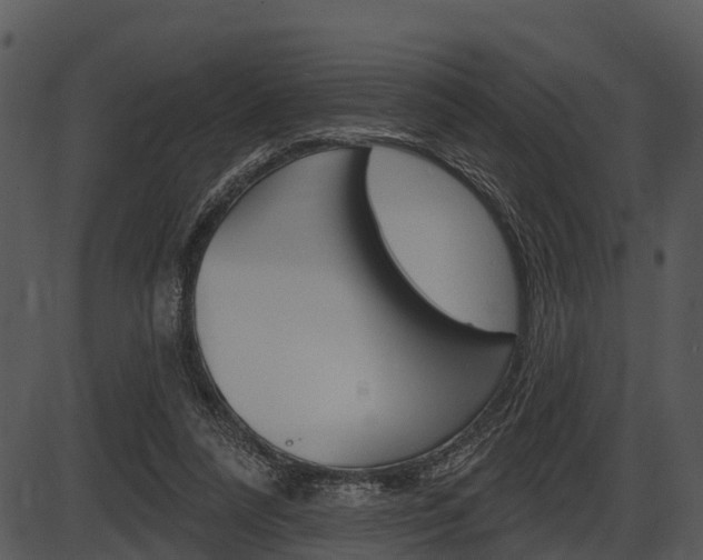 X0000087510304200704270800