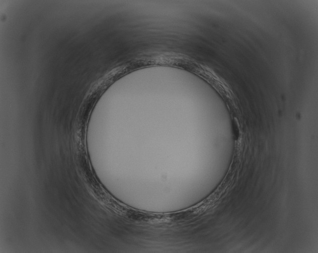X0000087510306200704270800
