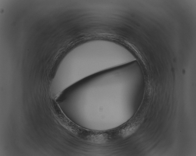 X0000087510307200704270800
