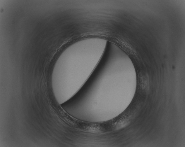 X0000087510308200704270800