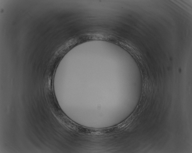 X0000087510310200704270800