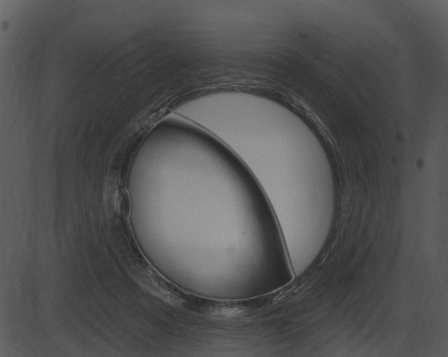 X0000087510313200704270800