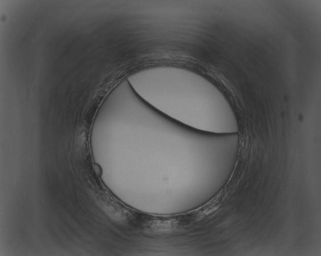 X0000087510314200704270800