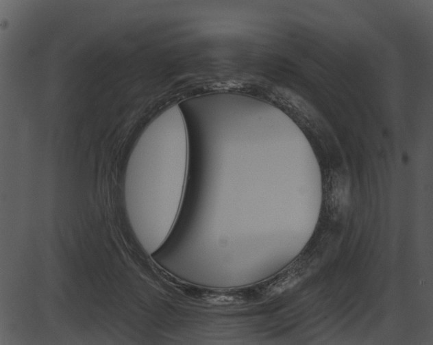 X0000087510315200704270800