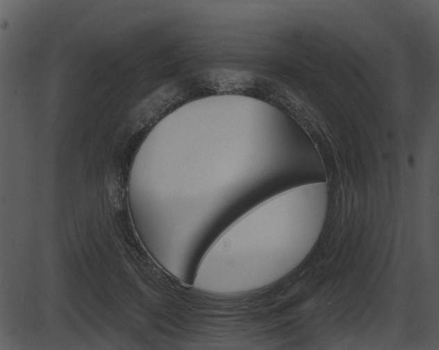 X0000087510316200704270800