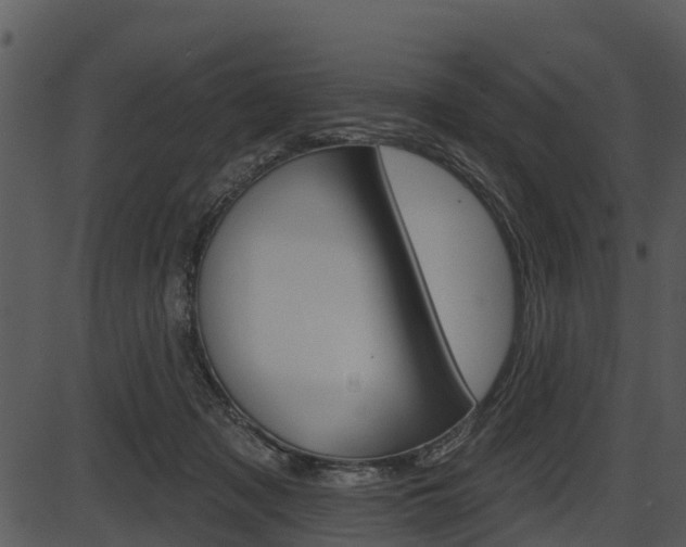 X0000087510317200704270800