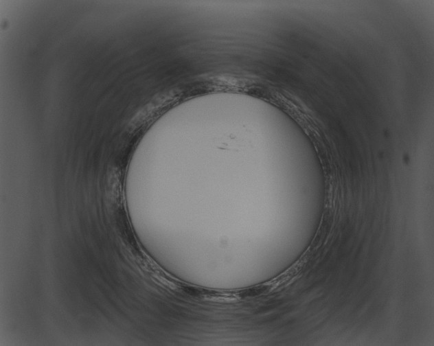 X0000087510318200704270800